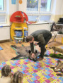 /album/beseda-medzinarodny-den-zvierat/553515718-1315000853417765-7907585724832860940-n-jpg/