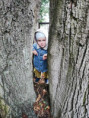 /album/jesen-v-ms/553799858-3253864621456017-3147724244815923729-n-jpg/