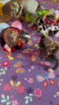 /album/karneval1/received-747281935120230-jpeg/