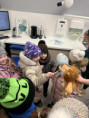 /album/u-dentalnej-hygienicky/received-1405449364404604-jpeg/