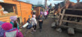 /album/turisticka-vychadzka/received-2601080863626628-jpeg/